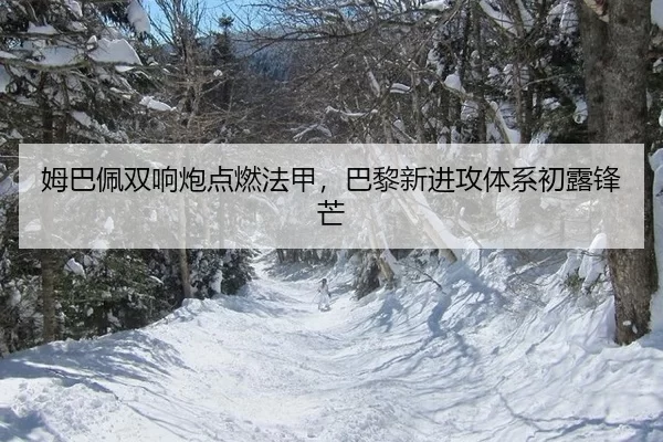 mu-ba-pei-shuang-xiang-pao-dian-ran-fa-jia-ba-li-xin-jin-gong-ti-xi-chu-lu-feng-mang-3-627.jpg